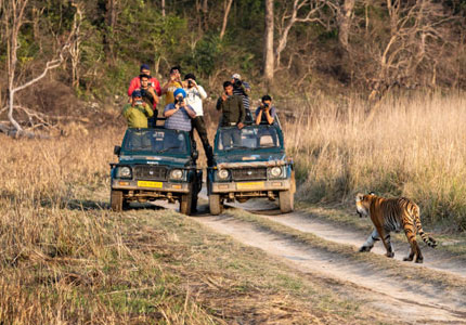 5 Days Jim Corbett Wildlife Tour